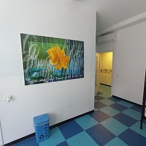 Gemenschappelijk Kamer Alleen voor Vrouwen